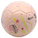 Soccer Balls